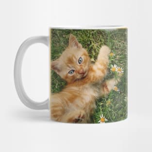 orange kitten among daisies Mug